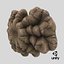 ChampignonFossileTexturé128VRaymax