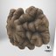 ChampignonFossileTexturé128VRaymax