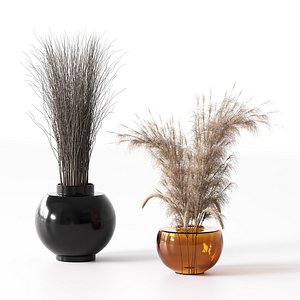 3D Plants Bouquet 09