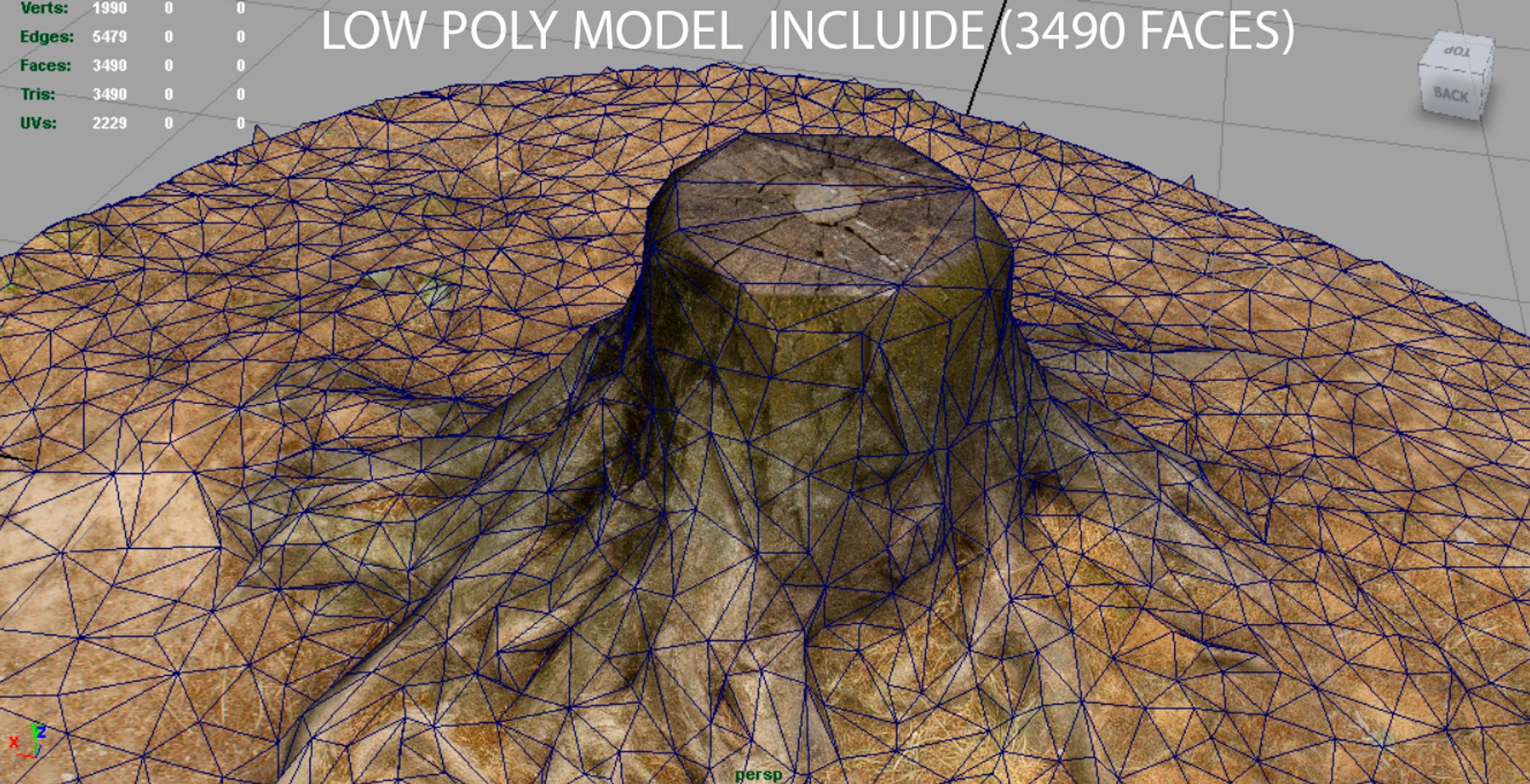 3D Realistic Tree Stump - TurboSquid 1163938