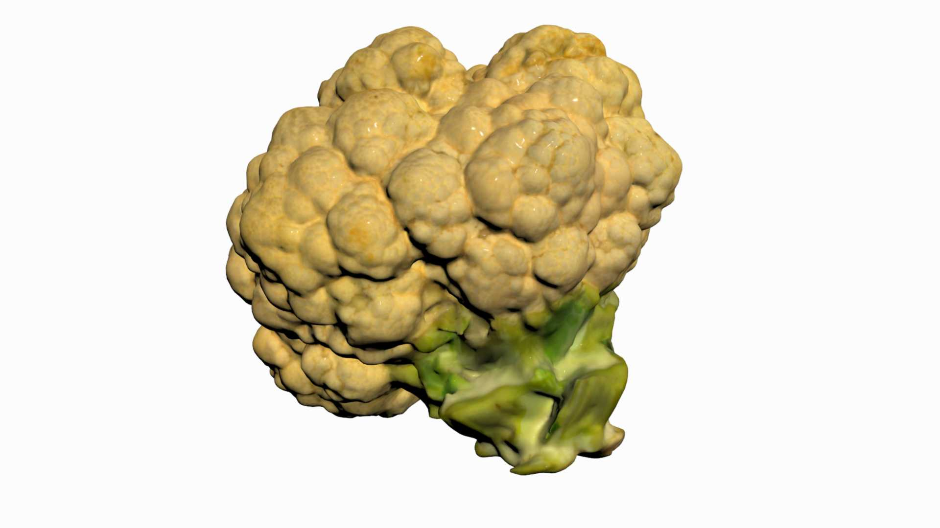 3D cauliflower scan https://p.turbosquid.com/ts-thumb/fe/1YJYqv/HQY5bRri/cauliflower/jpg/1603978683/1920x1080/turn_fit_q99/7721a1868d9230c2827fc6faae3d005e9e11e19b/cauliflower-1.jpg