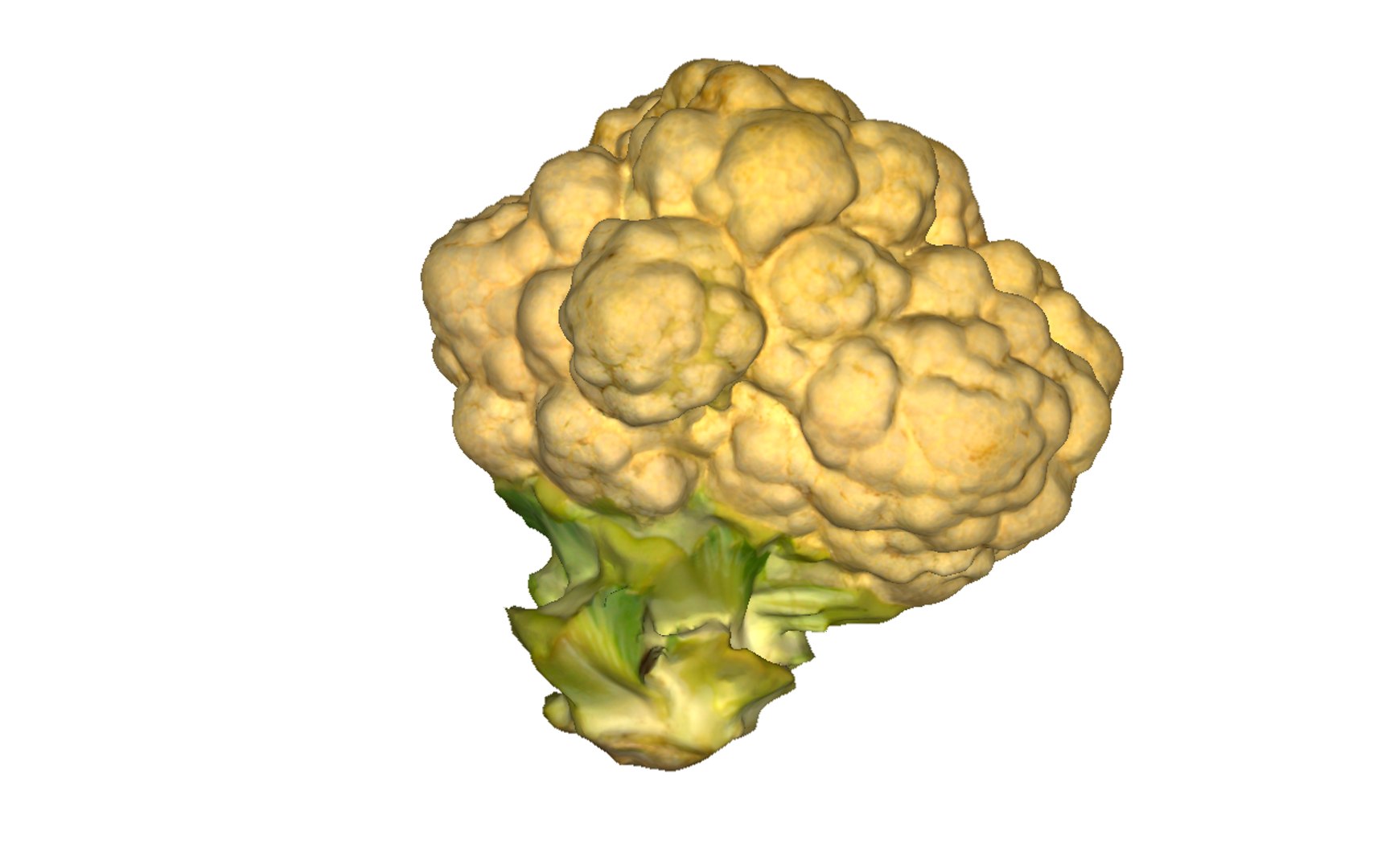 3D cauliflower scan https://p.turbosquid.com/ts-thumb/fe/1YJYqv/ZmIWX82S/2/png/1603978669/1920x1080/fit_q87/3daf48dd8a185e03f82bc6f21723712a3f99da7a/2.jpg