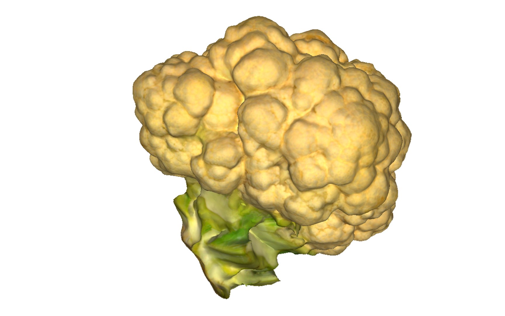 3D cauliflower scan https://p.turbosquid.com/ts-thumb/fe/1YJYqv/gqtbWd8C/5/png/1603978669/1920x1080/fit_q87/1a0d060044fe9b684ed2313f99f2a209c9c21946/5.jpg