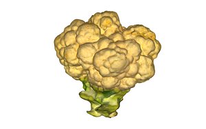 3D cauliflower scan