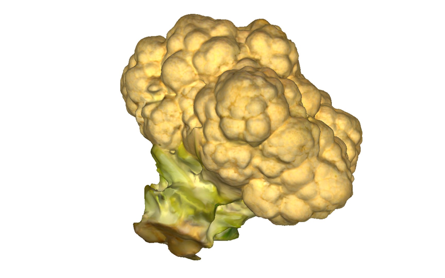 3D cauliflower scan https://p.turbosquid.com/ts-thumb/fe/1YJYqv/lSDb7OsL/3/png/1603978669/1920x1080/fit_q87/5efdcda25f4125a42f88f210ed8107c00dbe60d5/3.jpg