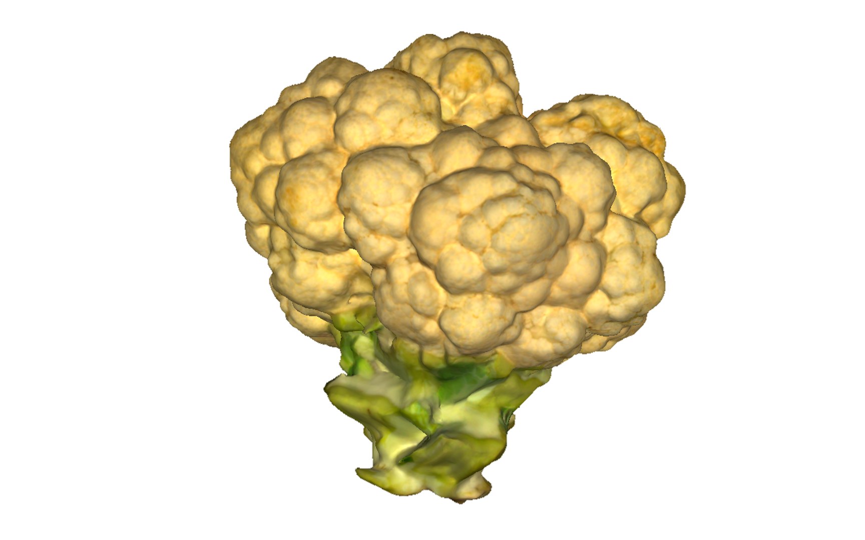3D cauliflower scan https://p.turbosquid.com/ts-thumb/fe/1YJYqv/oFY1oucQ/6/png/1603978669/1920x1080/fit_q87/390b6842ba670b342b60ceb3438b75c6cbcd1da4/6.jpg