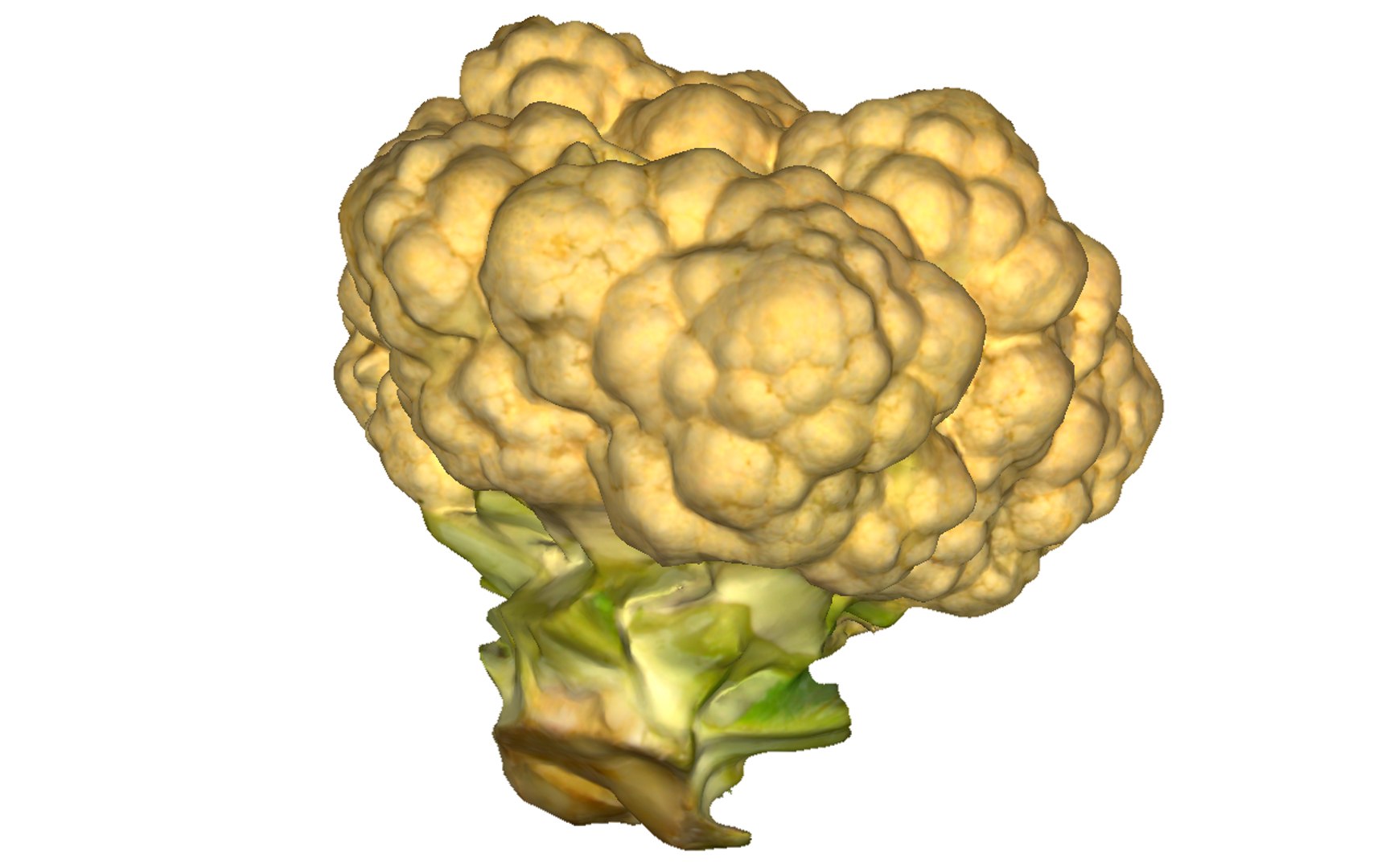 3D cauliflower scan https://p.turbosquid.com/ts-thumb/fe/1YJYqv/pMksyeAO/4/png/1603978669/1920x1080/fit_q87/44a621625254f42e2eaf5ab1db1840dced982c28/4.jpg