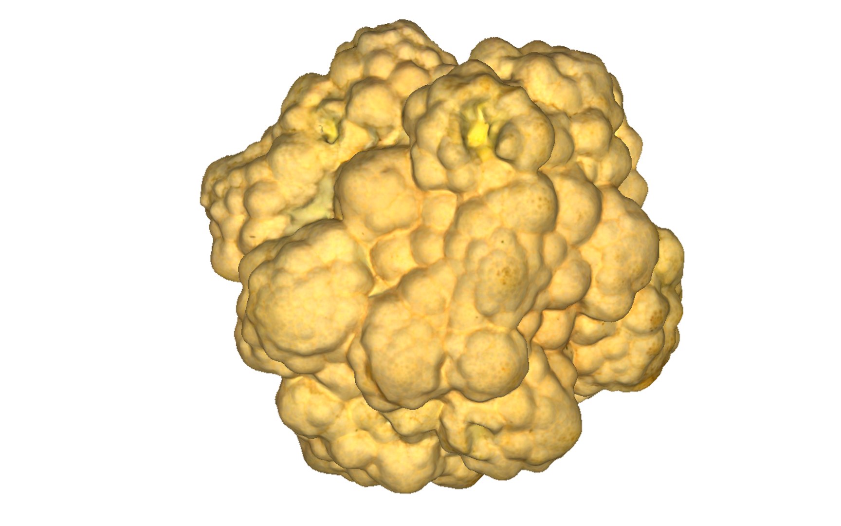 3D cauliflower scan https://p.turbosquid.com/ts-thumb/fe/1YJYqv/yNysGl2n/8/png/1603978669/1920x1080/fit_q87/9aacf49c03d968d0360595fa357f8931c2924eba/8.jpg