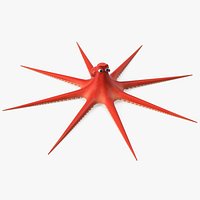 Octopus Cartoon Character Rigged