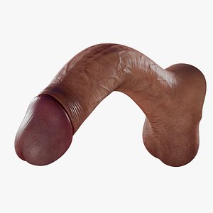 Realistic Penis PBR 4K High Details Rigged 3D model