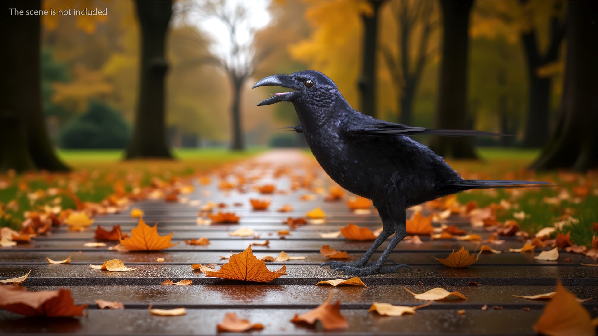 Crow Wild Bird Species Black 3D model https://p.turbosquid.com/ts-thumb/fe/Zq8cT7/9q/crow_wild_bird_species_black_003/jpg/1765401679/1920x1080/fit_q87/a9be74aff59469d81bf976d9e549889fc26f54ea/crow_wild_bird_species_black_003.jpg