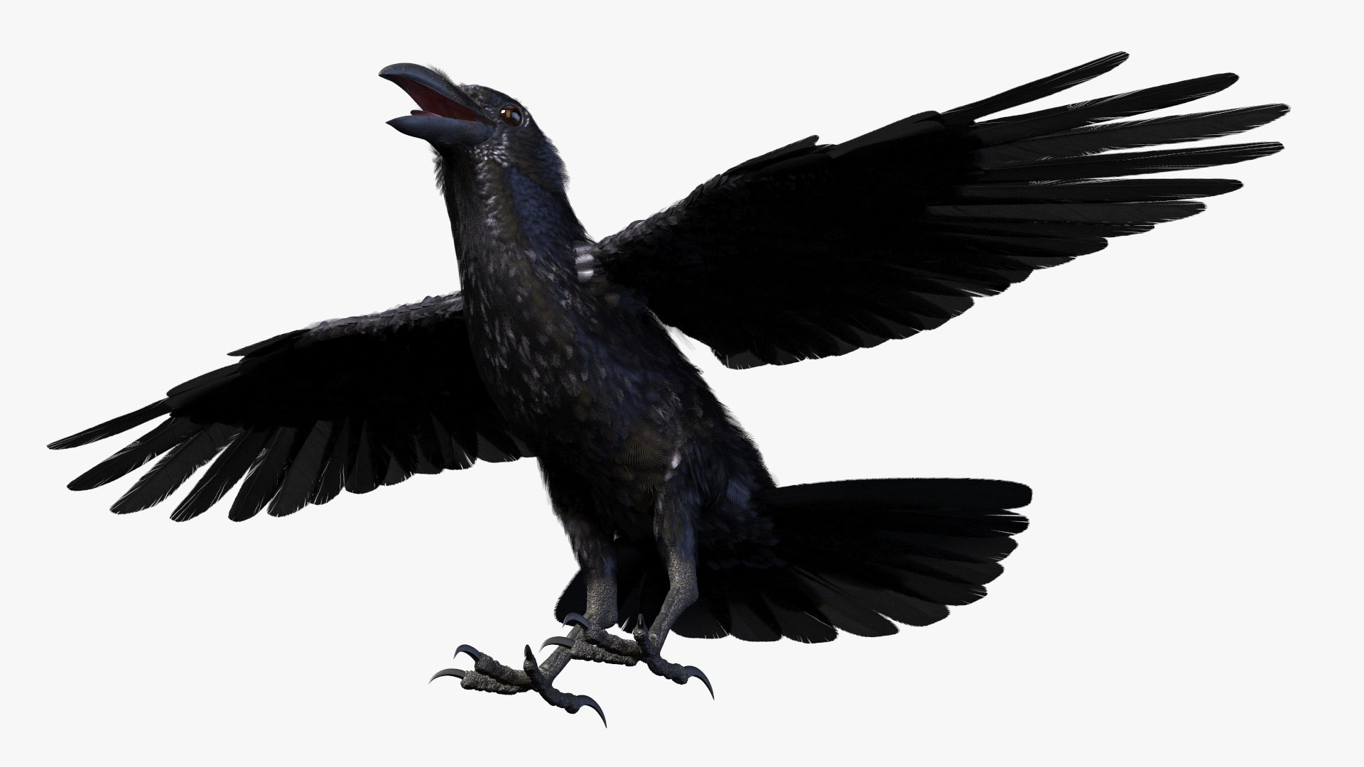Crow Wild Bird Species Black 3D model https://p.turbosquid.com/ts-thumb/fe/Zq8cT7/DQ/crow_wild_bird_species_black_008/jpg/1765401694/1920x1080/fit_q87/7729807eefb6d8e28e33219afd43534d0b428997/crow_wild_bird_species_black_008.jpg