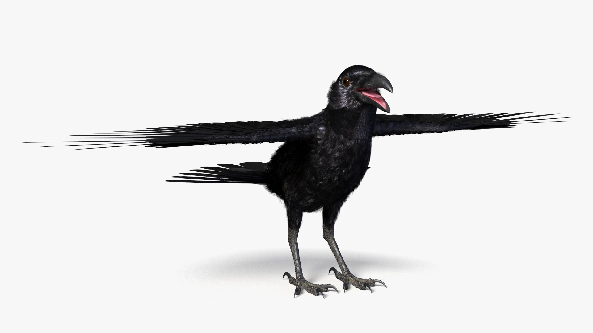 Crow Wild Bird Species Black 3D model https://p.turbosquid.com/ts-thumb/fe/Zq8cT7/JX/crow_wild_bird_species_black_005/jpg/1765401685/1920x1080/fit_q87/f7f3129ed2eb2ed95d9e1eaff6ce2a711945b792/crow_wild_bird_species_black_005.jpg