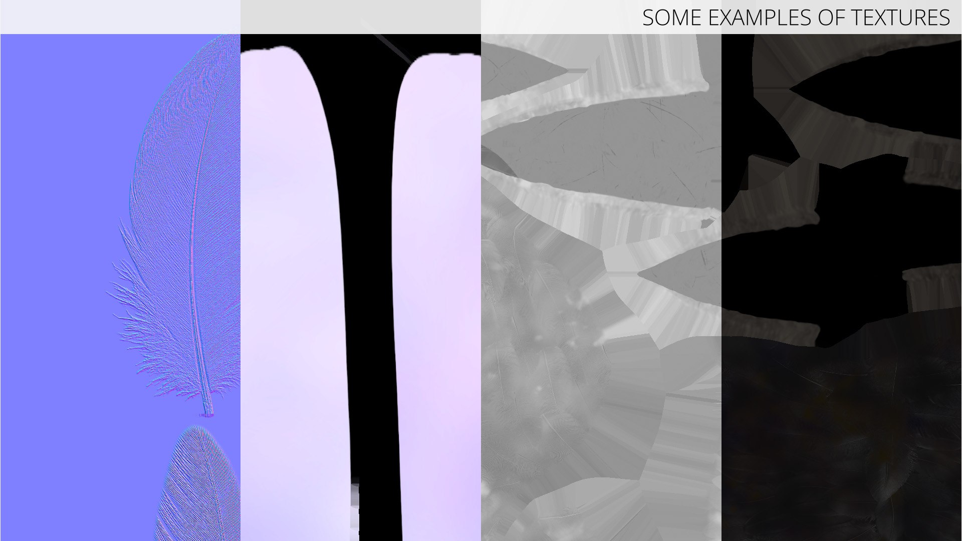 Crow Wild Bird Species Black 3D model https://p.turbosquid.com/ts-thumb/fe/Zq8cT7/km/crow_wild_bird_species_black_016/jpg/1765401718/1920x1080/fit_q87/3005c57c4856ec76136e51630d2e752addddda4b/crow_wild_bird_species_black_016.jpg