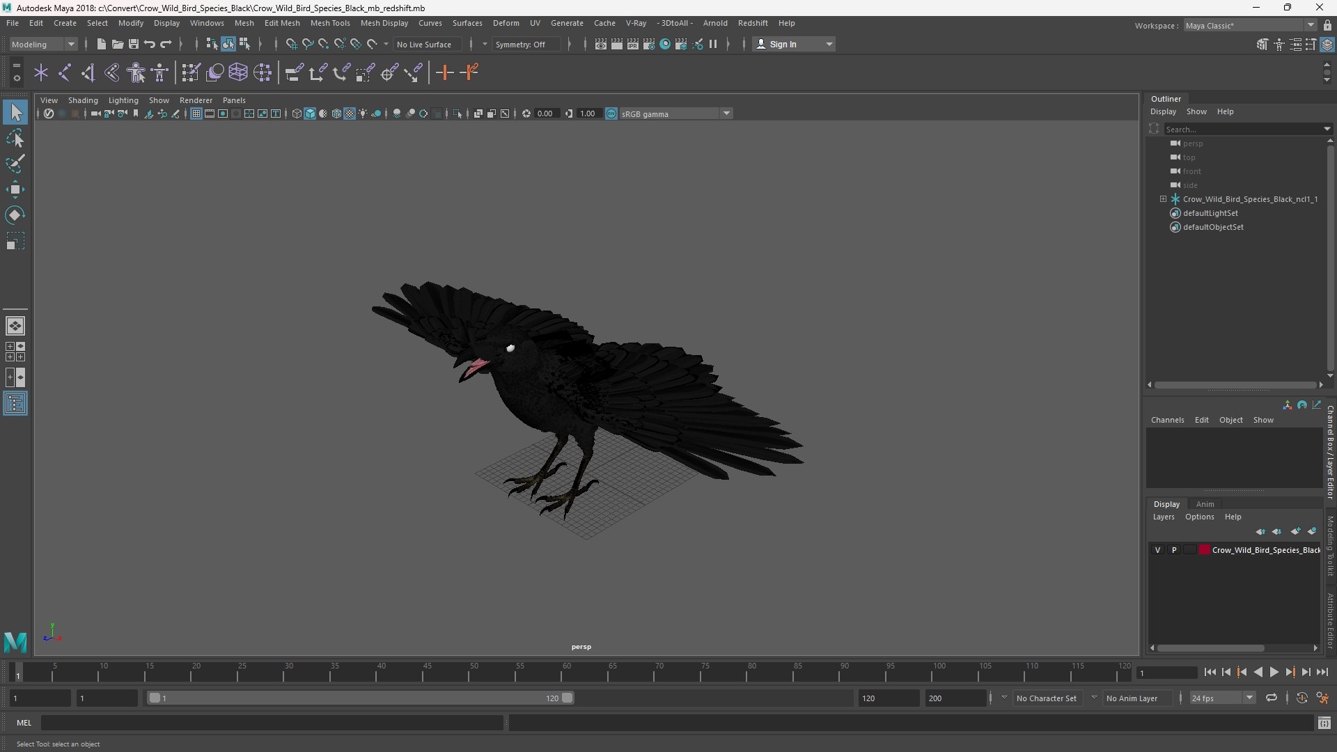 Crow Wild Bird Species Black 3D model https://p.turbosquid.com/ts-thumb/fe/Zq8cT7/yy/crow_wild_bird_species_black_1002/jpg/1765401728/1920x1080/fit_q87/bcf9a9d19810eb597b247ba22dc7e758103aa1a3/crow_wild_bird_species_black_1002.jpg