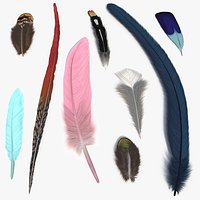 Exotic Decorative Feathers Set Multicolor Fur