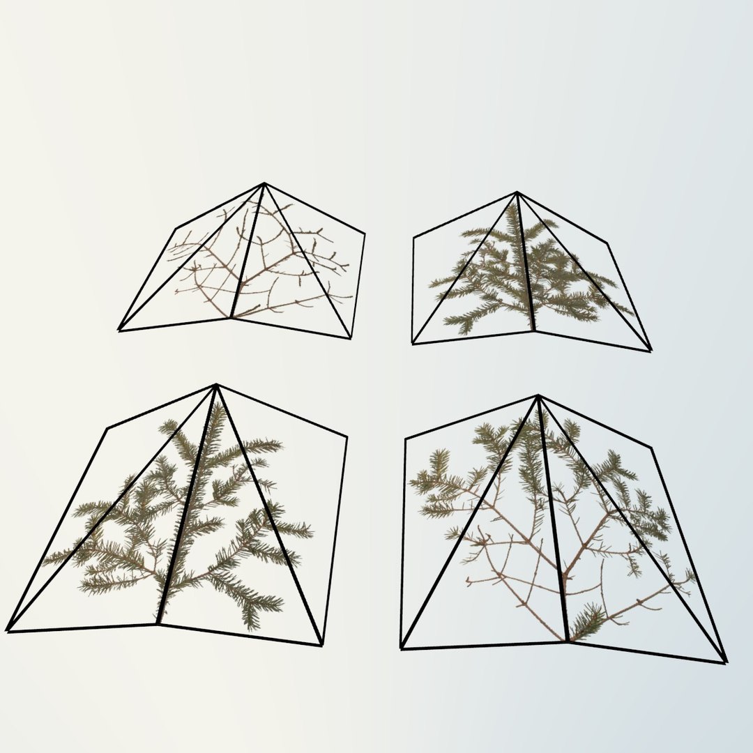 3d ready spruce trees