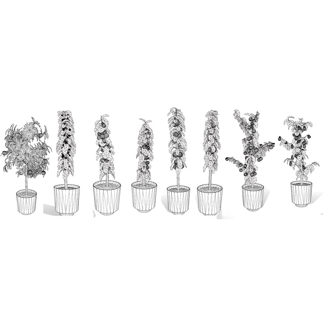 3D model Realistic 3D Columnar Fruit Trees https://p.turbosquid.com/ts-thumb/fe/sD05Kc/TB/wire/jpg/1726441032/1920x1080/fit_q87/53040dec9ecc4d4c5fc753e646c5bff2e16c8f96/wire.jpg