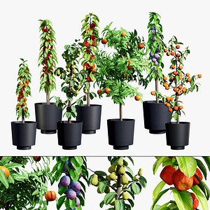 Realistic 3D Columnar Fruit Trees