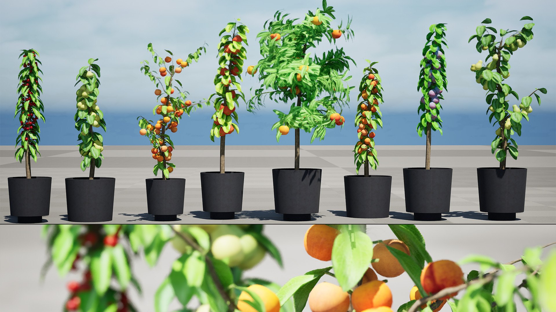 3D model Realistic 3D Columnar Fruit Trees https://p.turbosquid.com/ts-thumb/fe/sD05Kc/zg/02highresscreenshot00009/jpg/1726440978/1920x1080/fit_q87/e23987f7fc17a079cd07ca268259620408f68854/02highresscreenshot00009.jpg