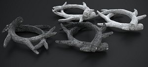 3D model REINDEER ANTLERS 2022 RAW