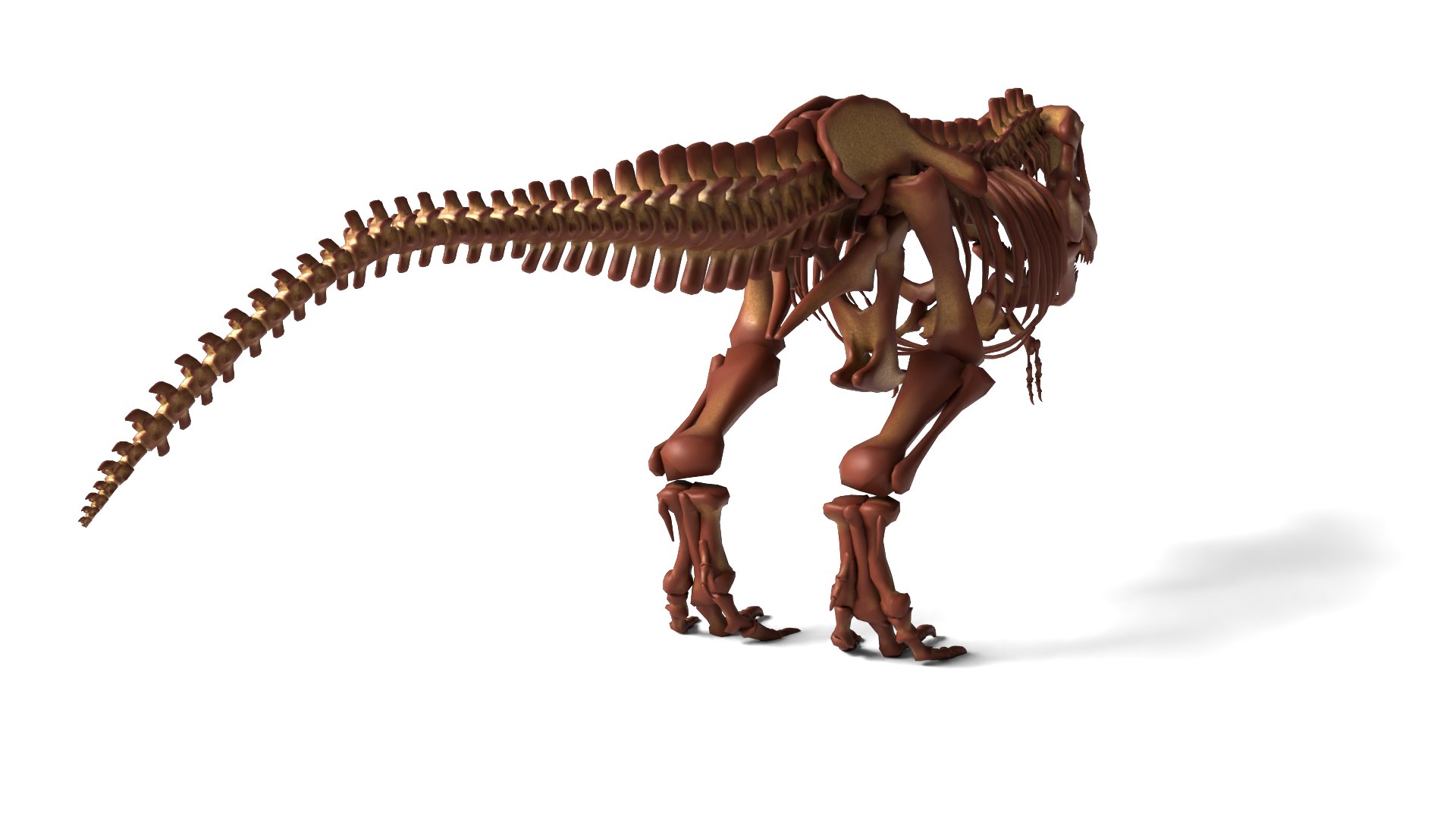 Tyrannosaurus Rex Skeleton Quality Dinosaur 3D model https://p.turbosquid.com/ts-thumb/fe/wONmQb/Oi/image0005/png/1772110574/1920x1080/fit_q87/983681dd97bbd2d3c0702e9a6cb97080ca95fc44/image0005.jpg