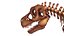 Scheletro di dinosauro di qualità Tyrannosaurus Rex