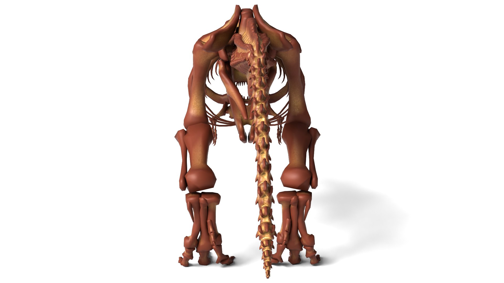 Tyrannosaurus Rex Skeleton Quality Dinosaur 3D model https://p.turbosquid.com/ts-thumb/fe/wONmQb/oE/image0004/png/1772110574/1920x1080/fit_q87/64c30be8744bd6eaca2c7a87e1f35d2bad6a1383/image0004.jpg