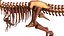 Scheletro di dinosauro di qualità Tyrannosaurus Rex