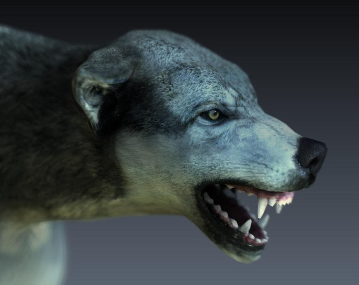 3D Model Wolf - TurboSquid 1232801