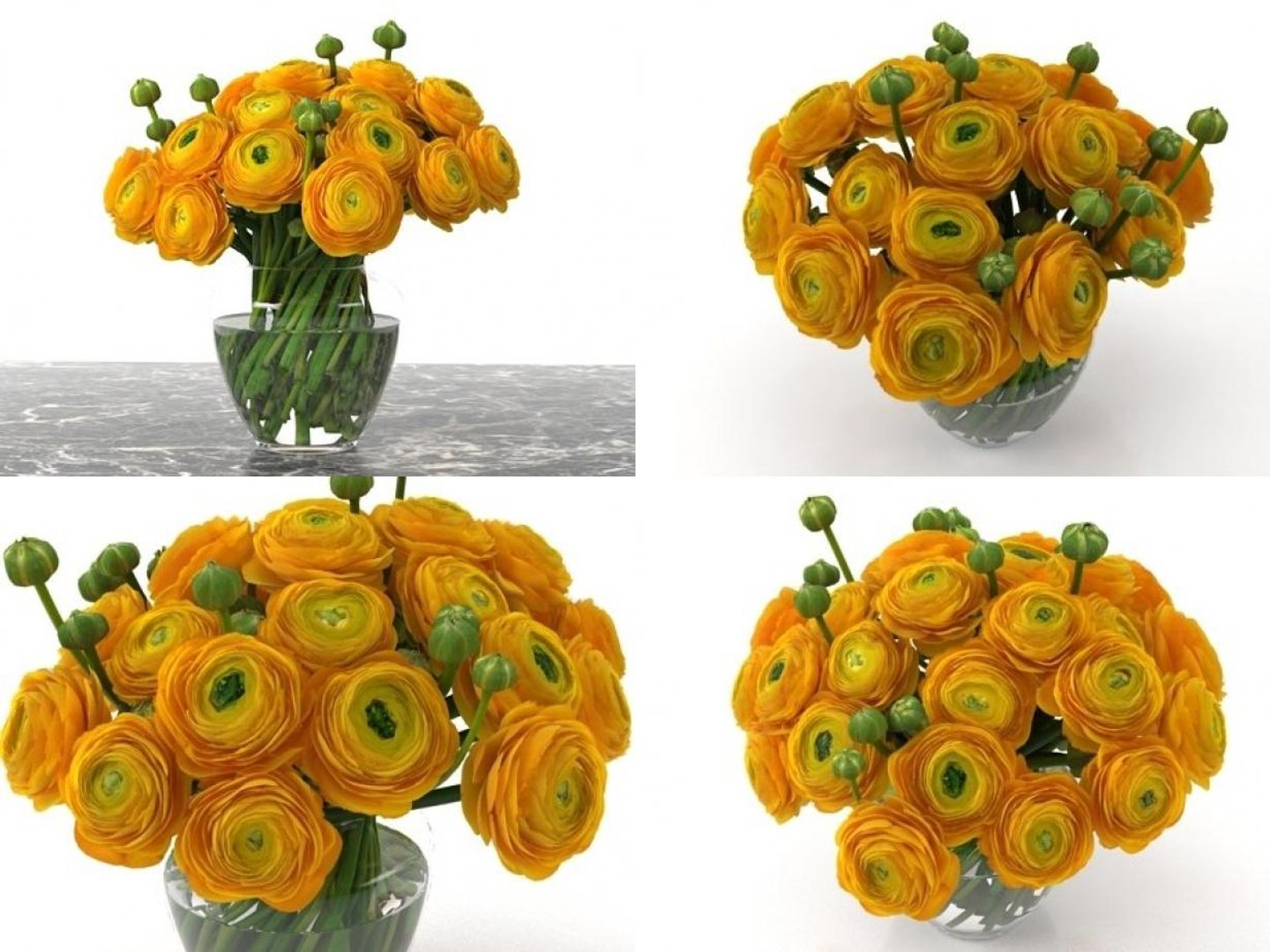 orange ranunculus 3D model https://p.turbosquid.com/ts-thumb/ff/450UuX/7HhqTAR4/orangeranunculus_1/jpg/1499329752/1920x1080/fit_q87/e64e8f8ad29fbbf6e83f2e55b0ab623078252631/orangeranunculus_1.jpg