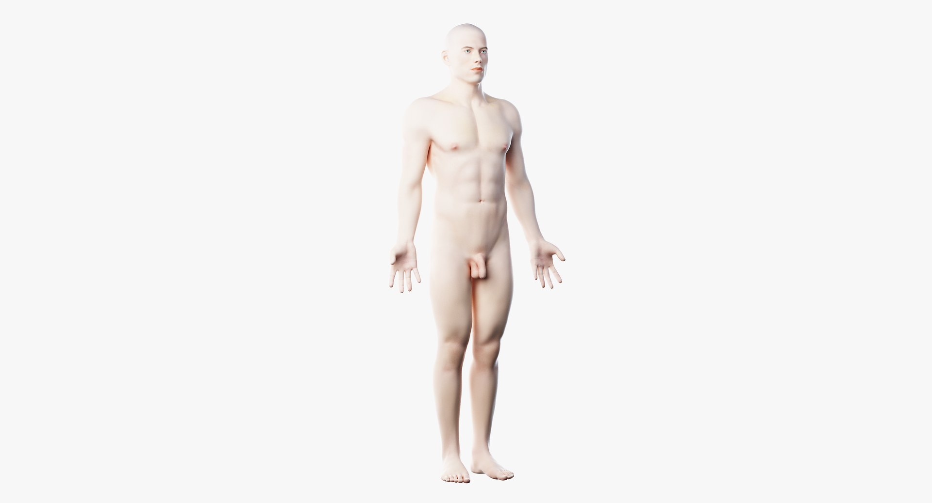 3D skin male skeleton vascular model https://p.turbosquid.com/ts-thumb/ff/cseCRe/Qa6uplzC/anatomy_skin02/png/1605515207/1920x1080/fit_q87/5c6ec7bc69d8e29110d1ee6396e8baa8cb59126b/anatomy_skin02.jpg
