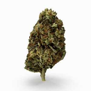 3D model cannabis bud