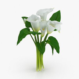 calla lilies 3d model