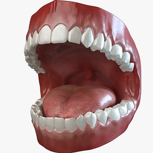 Mouth Animated 2.0