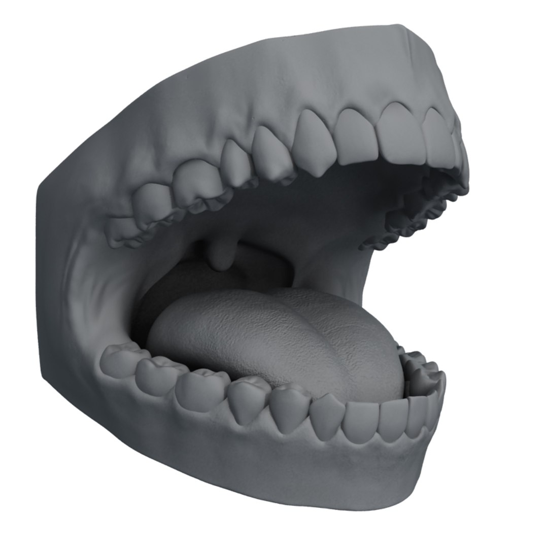 mouth teeth tongue animation 3d max https://p.turbosquid.com/ts-thumb/fg/6Bf9HP/Gq7Ruj3e/mouth_vray_005_clayrender_800x800/jpg/1292328222/1920x1080/fit_q87/96c990318a460d76562f56115ef2da933e064266/mouth_vray_005_clayrender_800x800.jpg