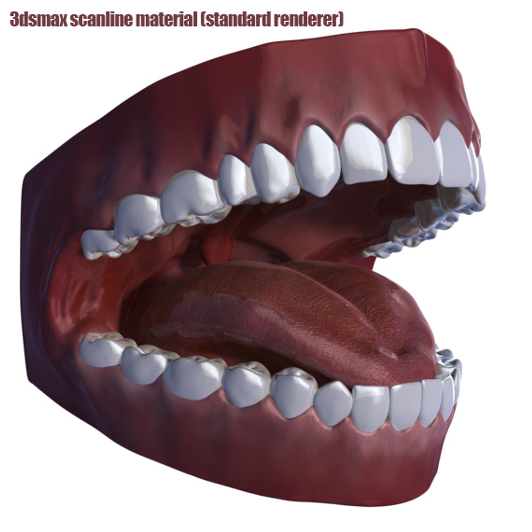 mouth teeth tongue animation 3d max https://p.turbosquid.com/ts-thumb/fg/6Bf9HP/S22kzvtL/mouth_standardmaterial_007/jpg/1292329554/1920x1080/fit_q87/27c2a08c5c4d56da10c339b829f3dbb3fed1f908/mouth_standardmaterial_007.jpg