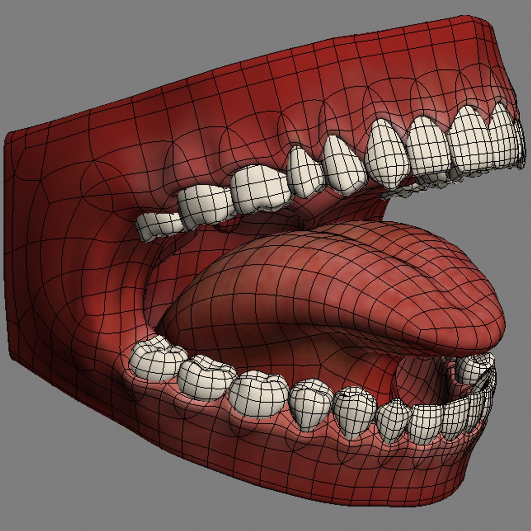 mouth teeth tongue animation 3d max https://p.turbosquid.com/ts-thumb/fg/6Bf9HP/a2uVDTJW/wireframe_10/jpg/1292328222/1920x1080/fit_q87/bc02eaecddeae0caf8531895ac6ce93cc6790048/wireframe_10.jpg