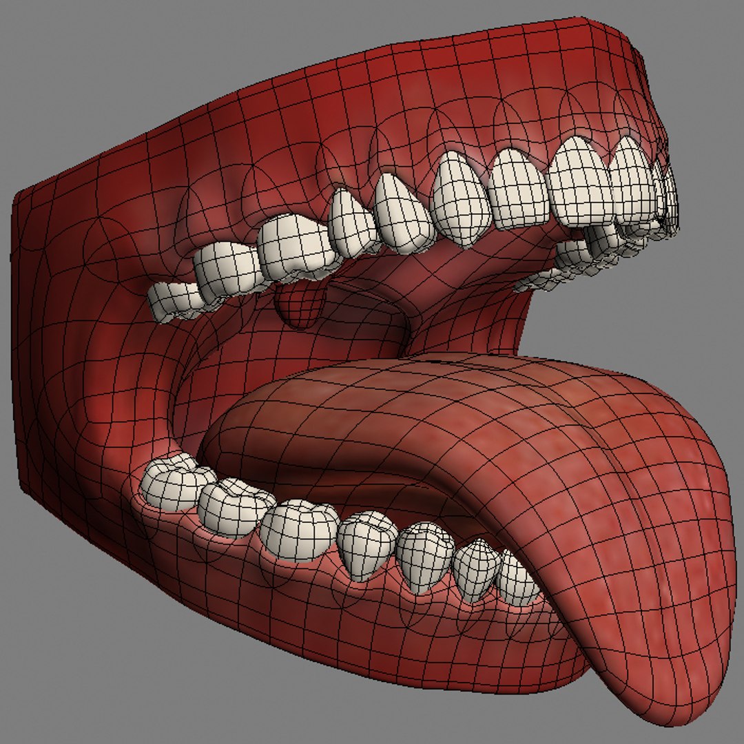 mouth teeth tongue animation 3d max https://p.turbosquid.com/ts-thumb/fg/6Bf9HP/ubL0pD7w/wireframe_25/jpg/1292328222/1920x1080/fit_q87/48af6261ead4f584a25d7476ae18b289fac5d723/wireframe_25.jpg