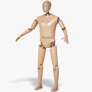3D model crash test dummy
