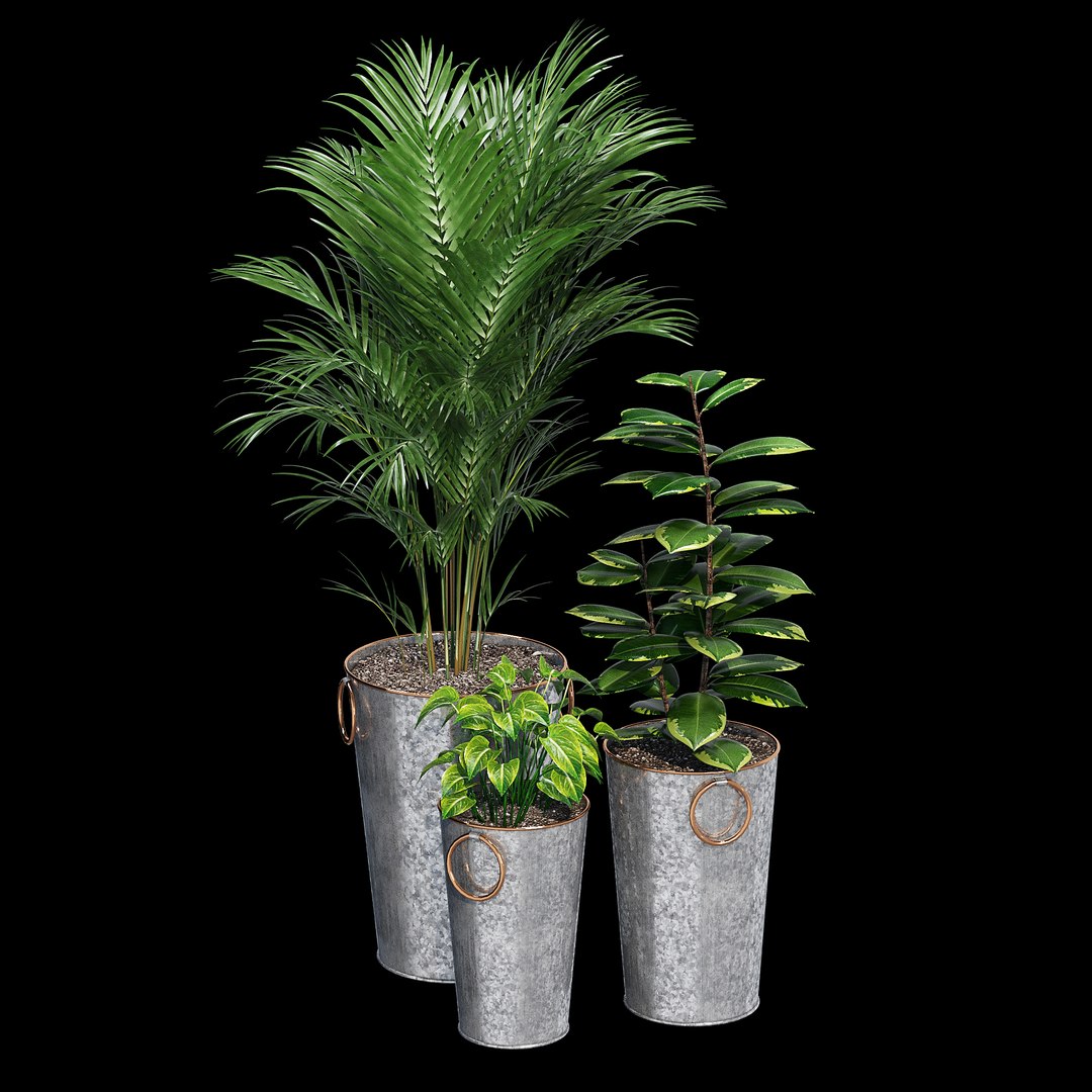 lillian galvanized planters model https://p.turbosquid.com/ts-thumb/fg/BYYaFY/2QPew616/dtree_4/jpg/1586007842/1920x1080/fit_q87/150f82b08b48f732f6e22dd8a2e1f8b8290ecf2e/dtree_4.jpg