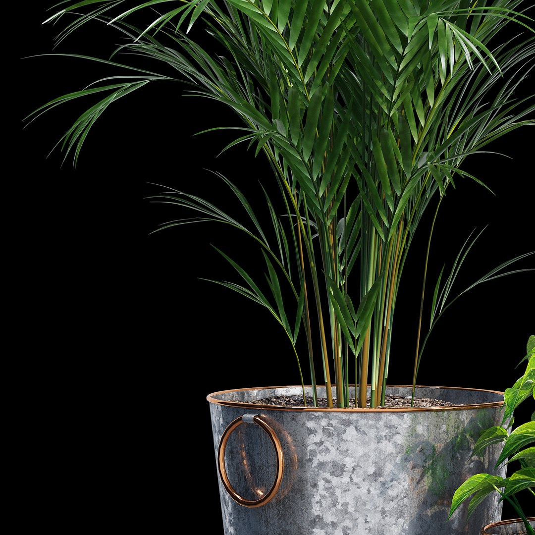 lillian galvanized planters model https://p.turbosquid.com/ts-thumb/fg/BYYaFY/EbFVOILx/dtree_5/jpg/1586007867/1920x1080/fit_q87/8a3f26f6d8e8f289f0d2e22069a7d242ff8b6059/dtree_5.jpg