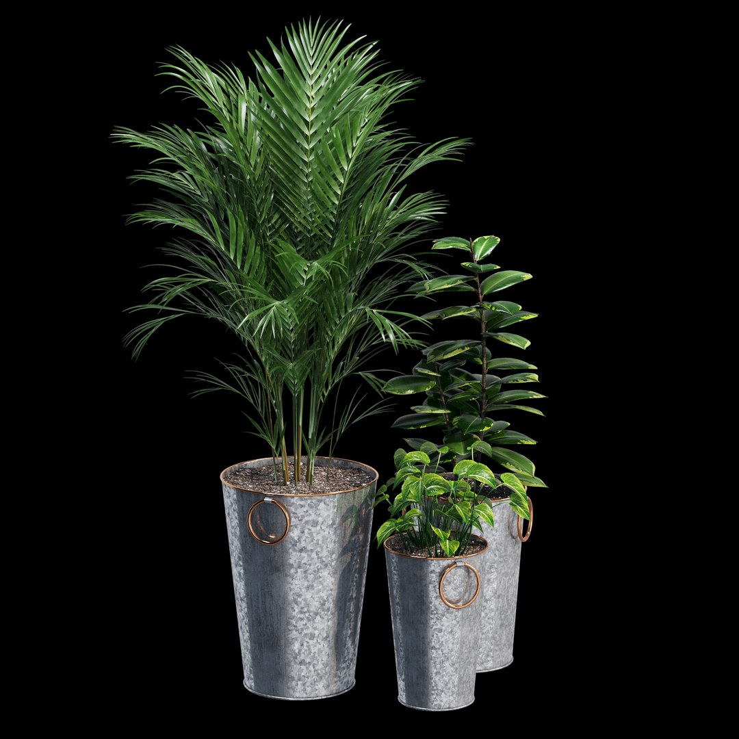 lillian galvanized planters model https://p.turbosquid.com/ts-thumb/fg/BYYaFY/Fwq1lWjq/dtree_3/jpg/1586007833/1920x1080/fit_q87/f346fc8af5d2de5e1de98f830052cc35c423c978/dtree_3.jpg