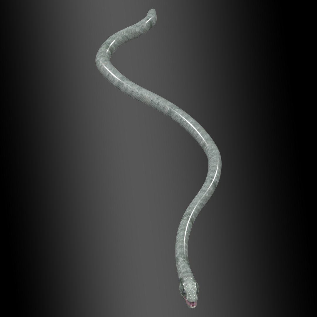 3D Model Black Mamba Snake Rig - TurboSquid 2352196