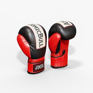 Boxing Glove model