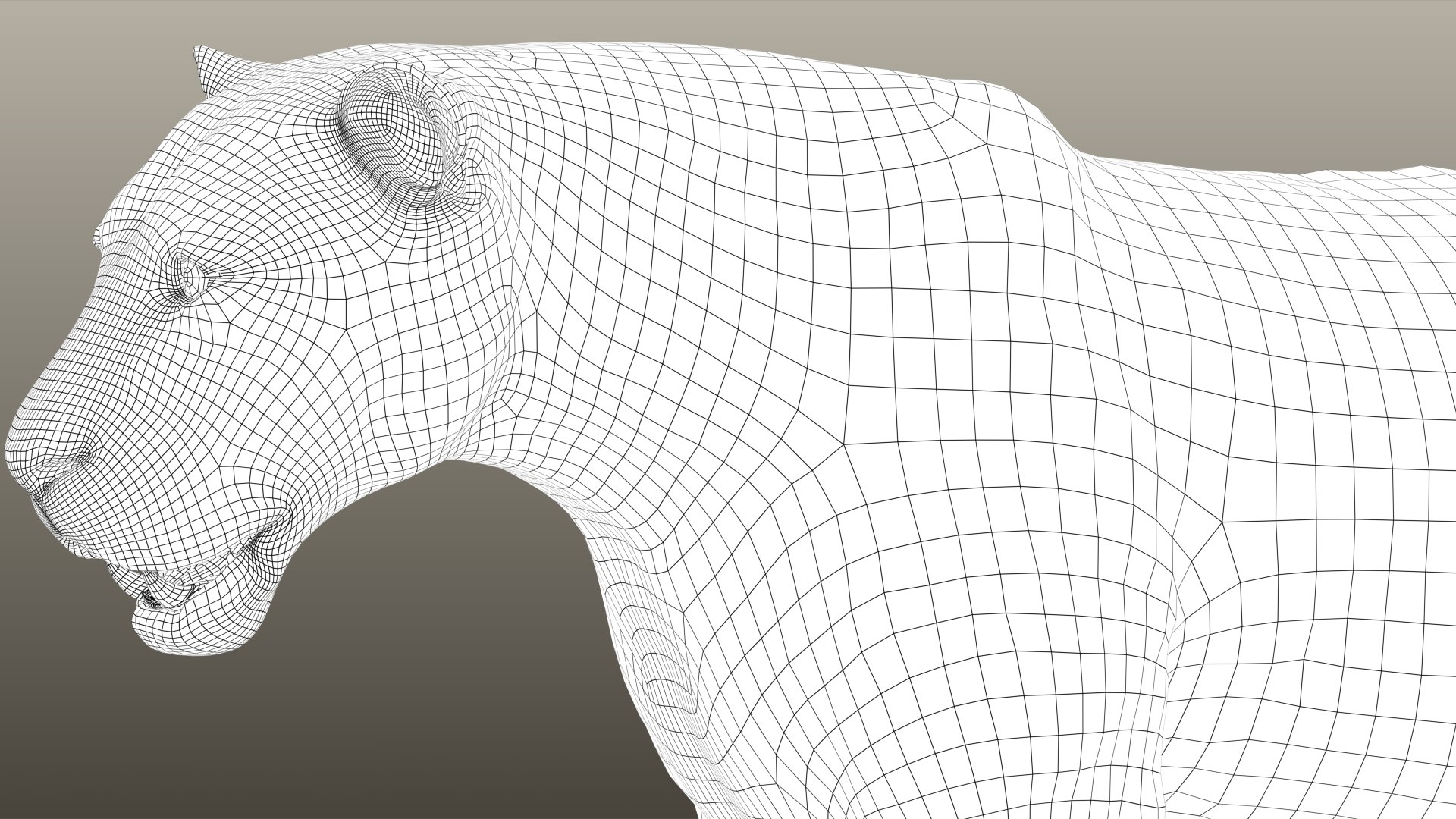 Lion XGEN CORE 3D https://p.turbosquid.com/ts-thumb/fg/M0eEwK/1x/wire02/jpg/1623816263/1920x1080/fit_q87/ff30ad75675f146472466fb58be73cbf3724cd0e/wire02.jpg