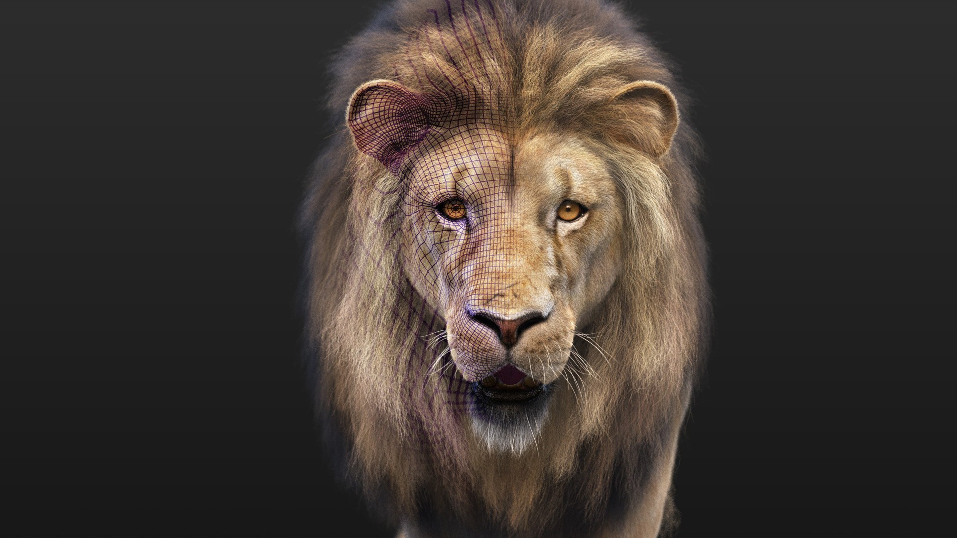 Lion XGEN CORE 3D https://p.turbosquid.com/ts-thumb/fg/M0eEwK/Z5/lionb_03b/jpg/1623816243/1920x1080/fit_q87/3a636cc76018736f82b4103c1a76d6403c31fe9a/lionb_03b.jpg