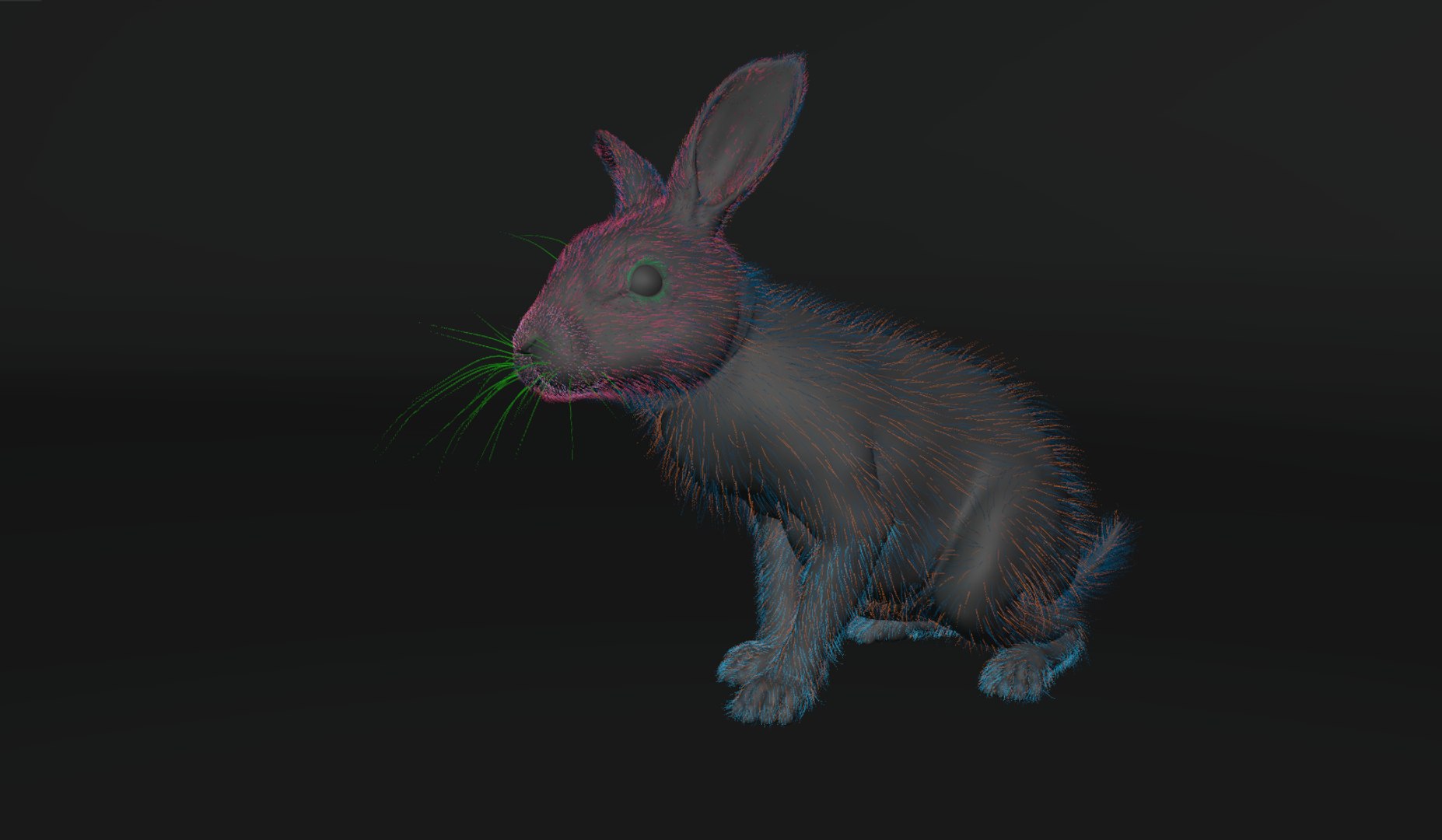 3D Rabbit Rigged Model - TurboSquid 2329471