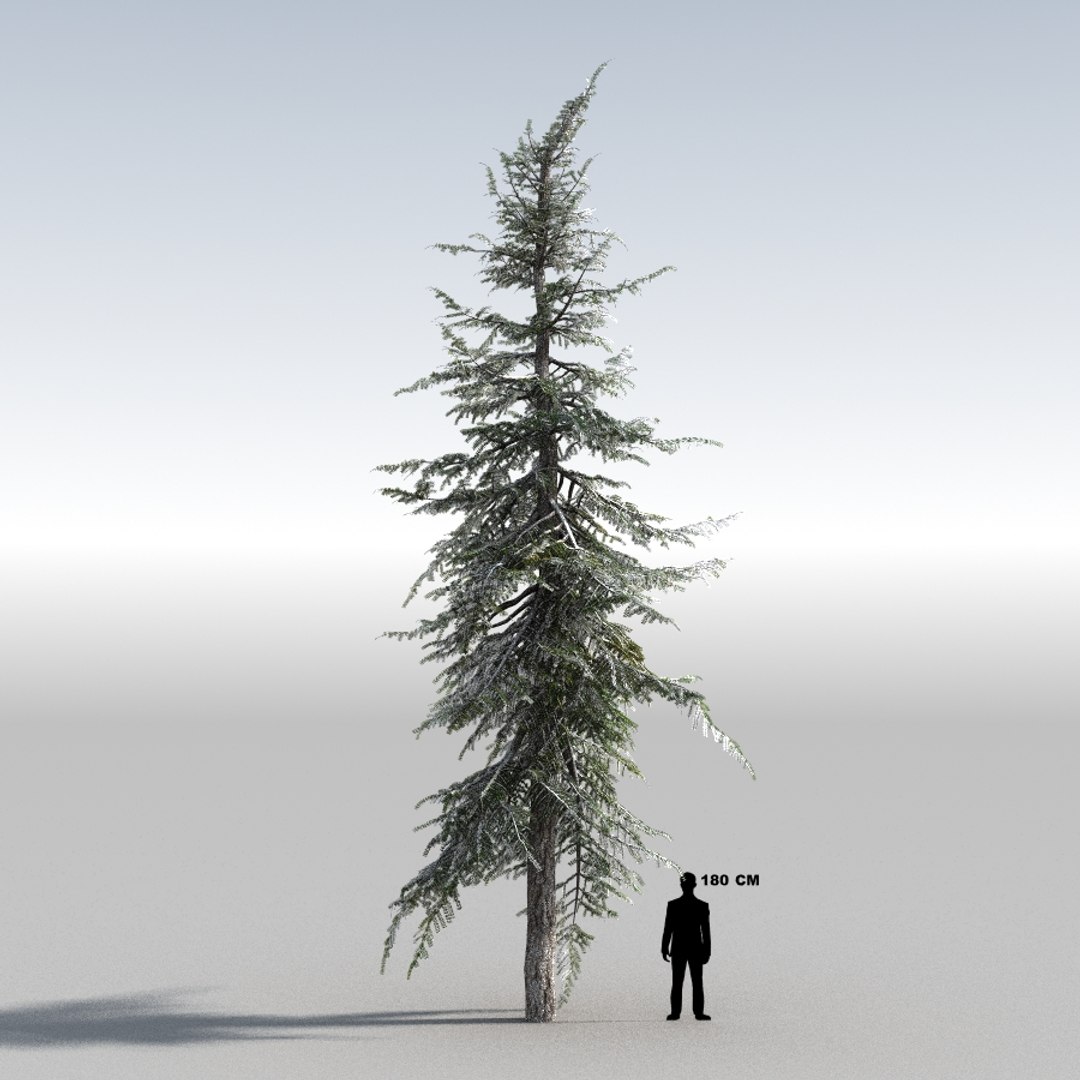 3d tree https://p.turbosquid.com/ts-thumb/fg/RZqh38/6R9CDNOo/10mountainhemlock03_0006/jpg/1454258669/1920x1080/fit_q87/8c4e7de7fc24038eda2b2269c5efc76cc53a56f9/10mountainhemlock03_0006.jpg