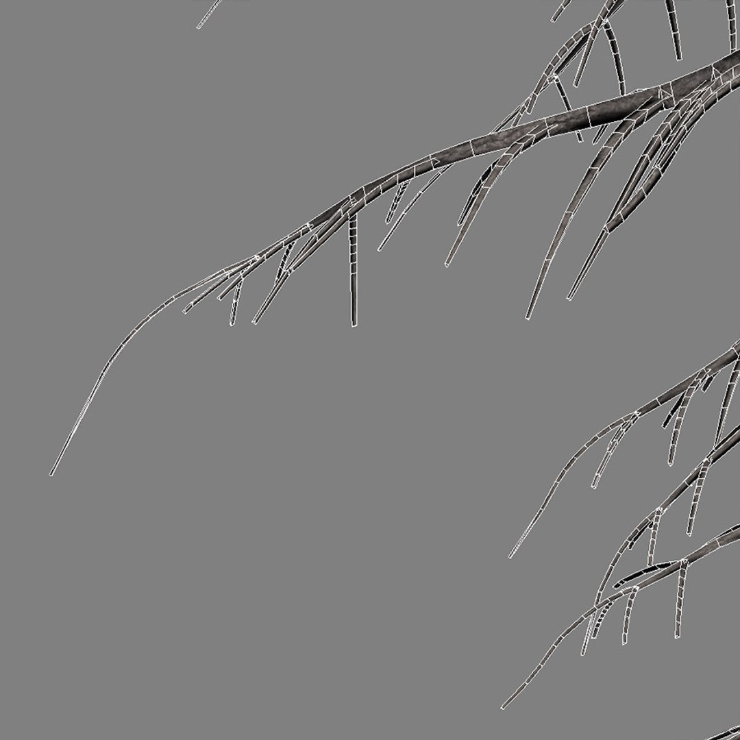 3d tree https://p.turbosquid.com/ts-thumb/fg/RZqh38/Hdvqofx6/wire01/jpg/1454258669/1920x1080/fit_q87/b684a7867897a5767462aec6c6f7a00f94c1d7c0/wire01.jpg